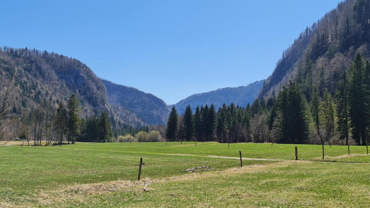 Radovna Mountain Valley Zgornje Gorje