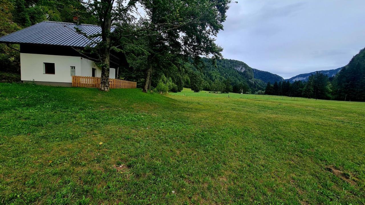 Radovna Mountain Valley * Zgornje Gorje