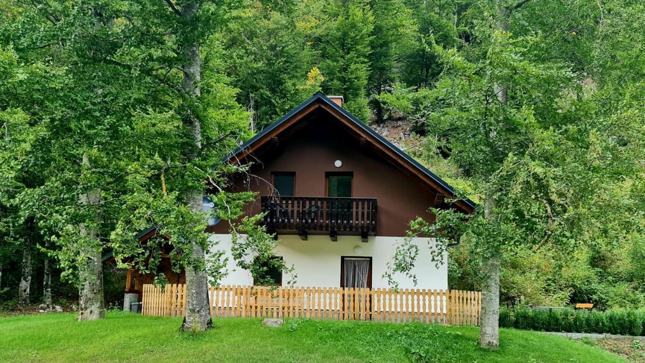 Radovna Mountain Valley Holiday home