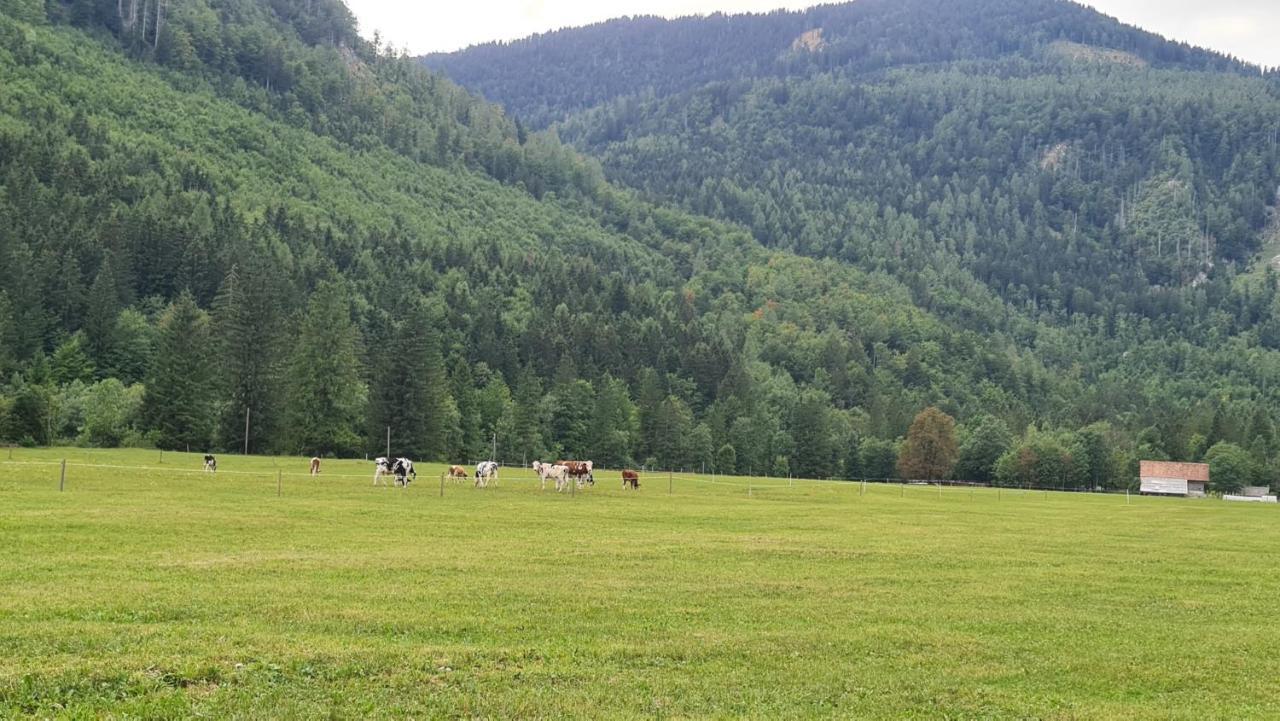Radovna Mountain Valley *